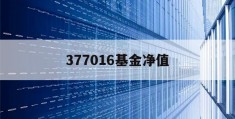 377016基金净值(377016基金净值查040001询今天最新净值)