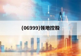 关于(06999)领地控股的信息