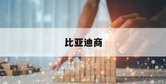 比亚迪商(比亚迪商务车7座最新款油电混合车价格)