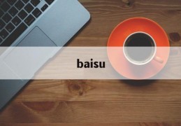 baisu(百岁山多少钱一瓶)