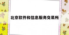 北京软件和信息服务交易所(北京软件和信息服务交易所有限公司怎么样)