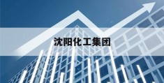 沈阳化工集团(沈阳化工集团招聘信息)