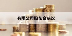 有限公司股东会决议(有限公司股东会决议生效条件)