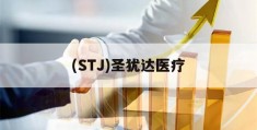 (STJ)圣犹达医疗(圣犹达心脏医学节律管理有限公司)