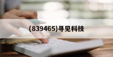 (839465)寻见科技(探寻科技有限公司)