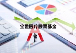 宝盈医疗股票基金(宝盈医疗保健基金净值查询)