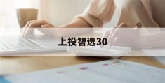 上投智选30(上投智选30混合基金净值)