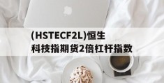 (HSTECF2L)恒生科技指期货2倍杠杆指数的简单介绍