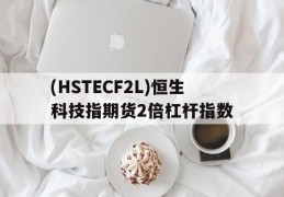 (HSTECF2L)恒生科技指期货2倍杠杆指数的简单介绍