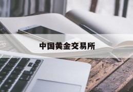 中国黄金交易所(中国黄金交易所官方网)