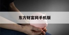 东方财富网手机版(东方财富网手机版官网)