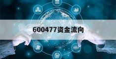 600477资金流向(600741资金流向全览)