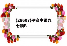 (28607)平安中银九七购B的简单介绍