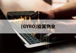 (GYRO)旋翼物业的简单介绍