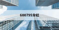 600795分红(600795分红方案)