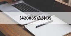 (420085)东沣B5(东沣科技集团股份有限公司 网站)