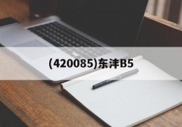 (420085)东沣B5(东沣科技集团股份有限公司 网站)