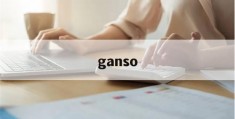 ganso(干松茸的吃法及做法)