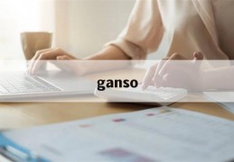 ganso(干松茸的吃法及做法)