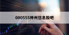 000555神州信息股吧(000555神州信息股吧东方财富网)