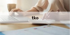 tko(tkoko音响)