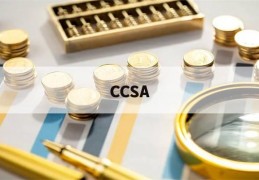 CCSA(ccsa是什么材质的钢材)