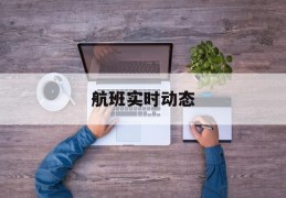 航班实时动态(怎么看飞机航班实时动态)