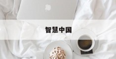 智慧中国(智慧中国期刊)