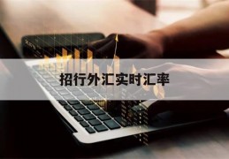 招行外汇实时汇率(招行外汇实时汇率是多少)