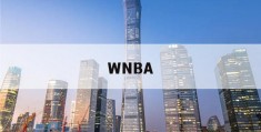 WNBA(wnba什么意思)
