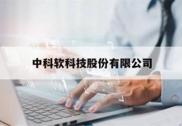 中科软科技股份有限公司(中科软科技股份有限公司是国企还是私企)