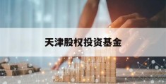 天津股权投资基金(天津股权投资基金协会官网)