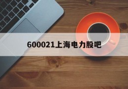 600021上海电力股吧的简单介绍