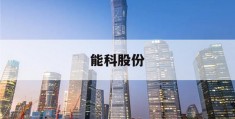 能科股份(能科股份公司简介)