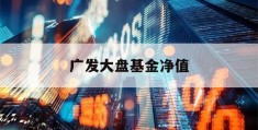 广发大盘基金净值(广发大盘基金净值价)