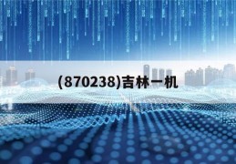 关于(870238)吉林一机的信息