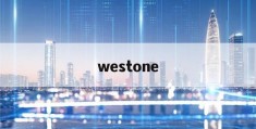 westone(WESTONE AUDIO)