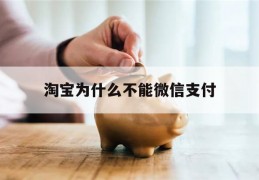 淘宝为什么不能微信支付(淘宝为什么突然不能微信支付了)