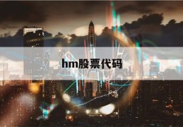 hm股票代码(hm公司的股票代码)