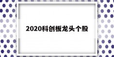 2020科创板龙头个股(2020年科创板谁是真正的龙头)