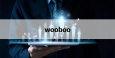 wooboo(wooboobox密码)