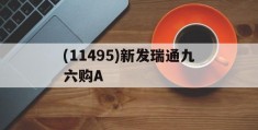 (11495)新发瑞通九六购A(瑞发新材料股份有限公司)