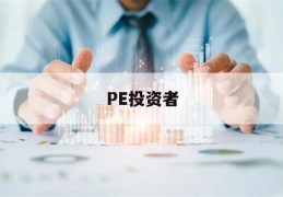 PE投资者(pe投资者有无风险)