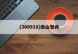 (300918)南山智尚(关于南山智尚上市的负面影响)