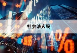 社会法人股(社会法人股 司法拍卖 公告)