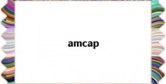 amcap(amcap怎么设置中文)