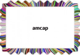 amcap(amcap怎么设置中文)