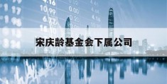 宋庆龄基金会下属公司的简单介绍