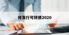 待发行可转债2020(待发行可转债一览表2023年)