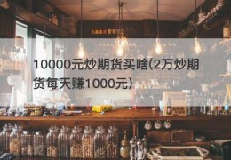 10000元炒期货买啥(2万炒期货每天赚1000元)